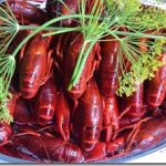 海外で人気の食材ザリガニがまだ日本では注目されていません│これからの可能性あり！