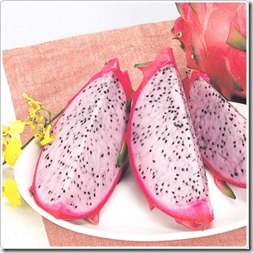 pink-pitaya