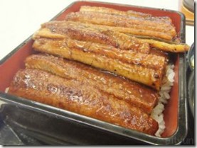 unagi